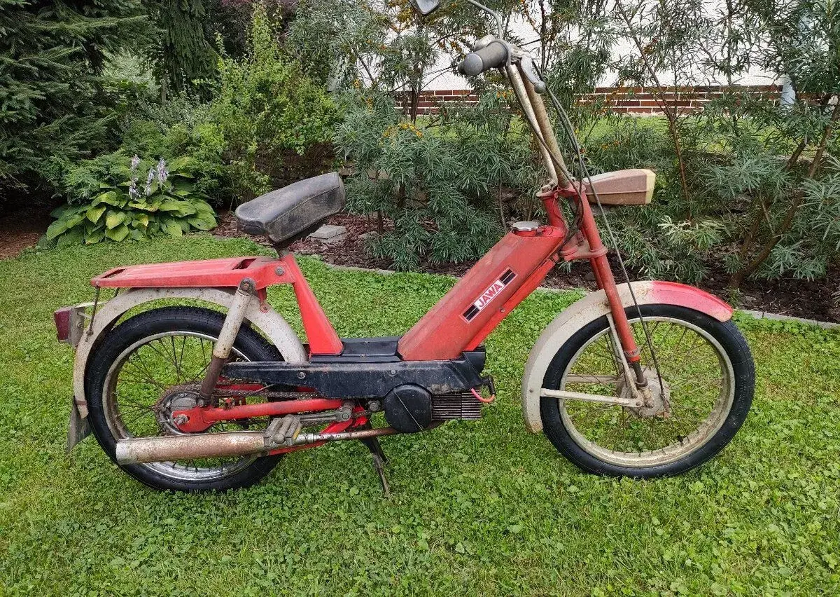 Babeta 207