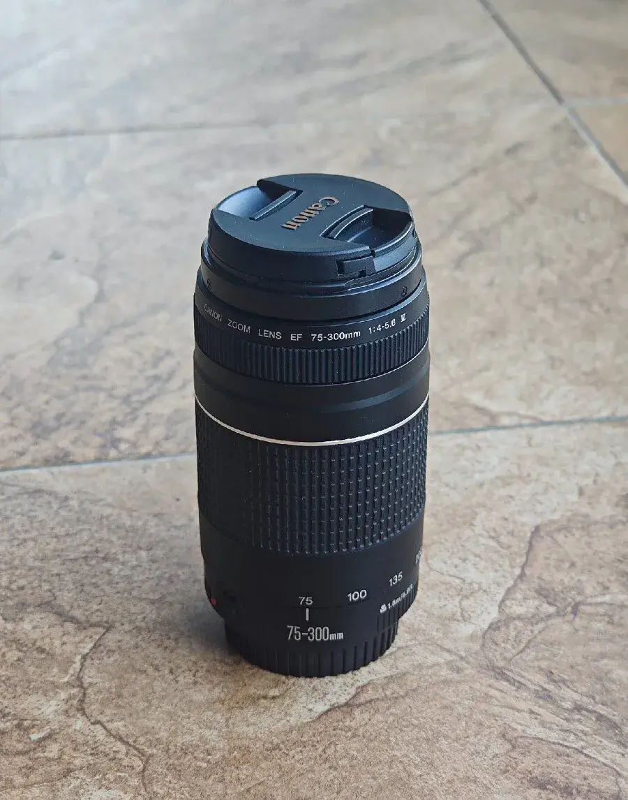 Canon EF 75-300mm f/4-5.6 III