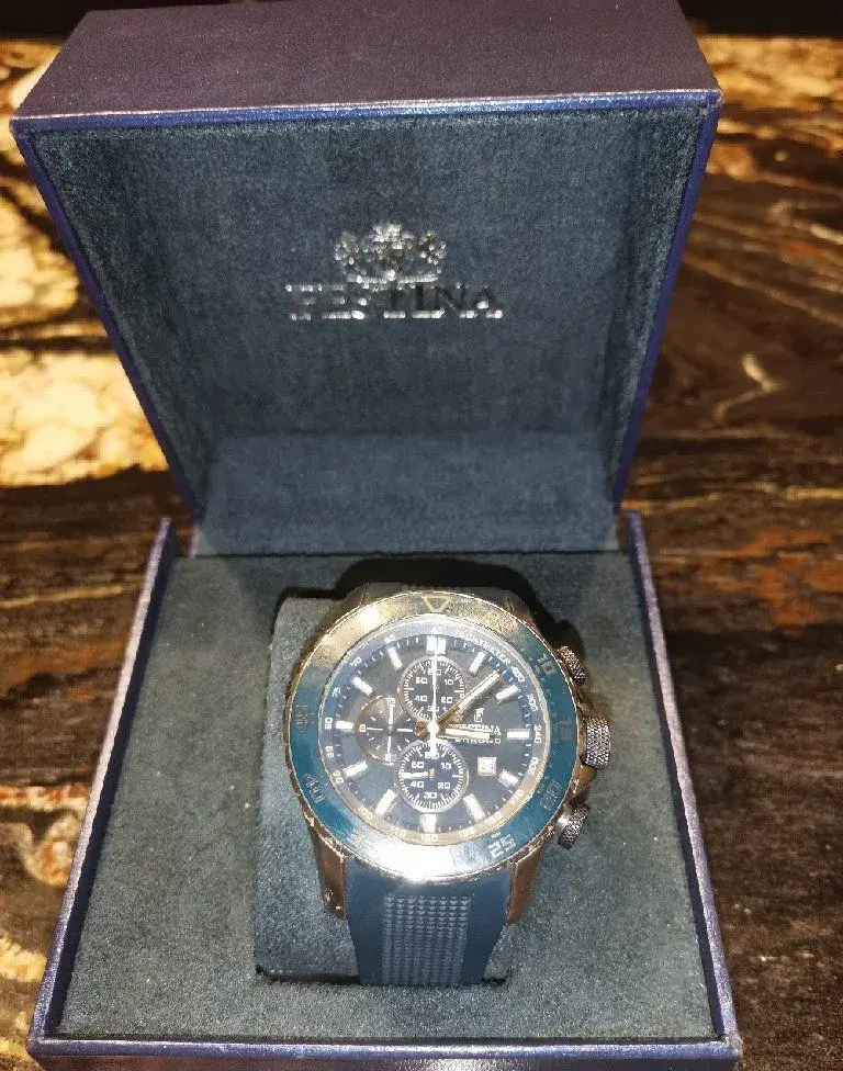 hodiny festina F16628