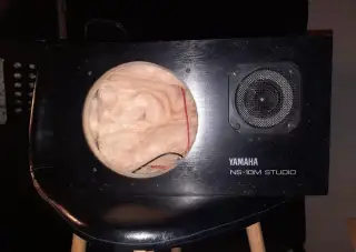 YAMAHA NS-10M studio