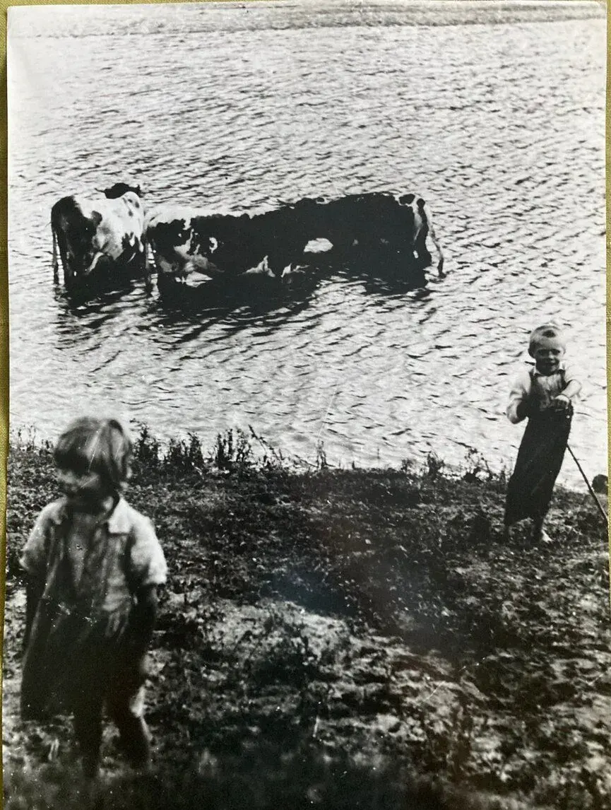 Irena Blühová - Najmladší pastier kráv