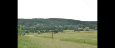 Ustajnenie koní - Košice okolie