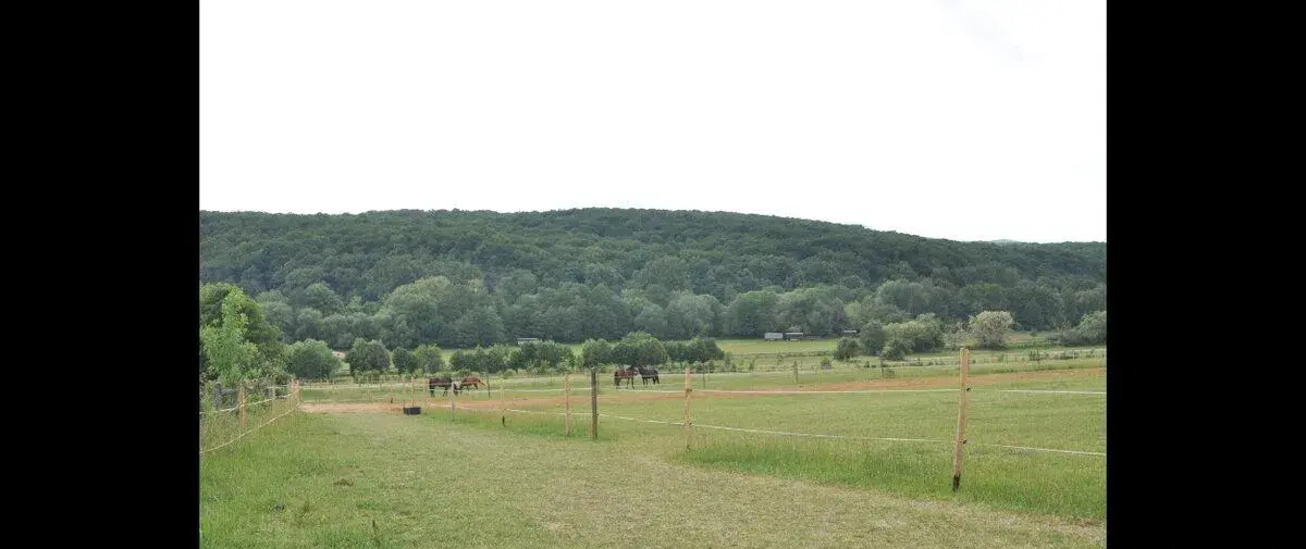 Ustajnenie koní - Košice okolie