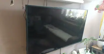 55" LG