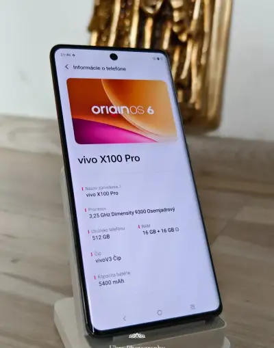 Vivo X100 Pro