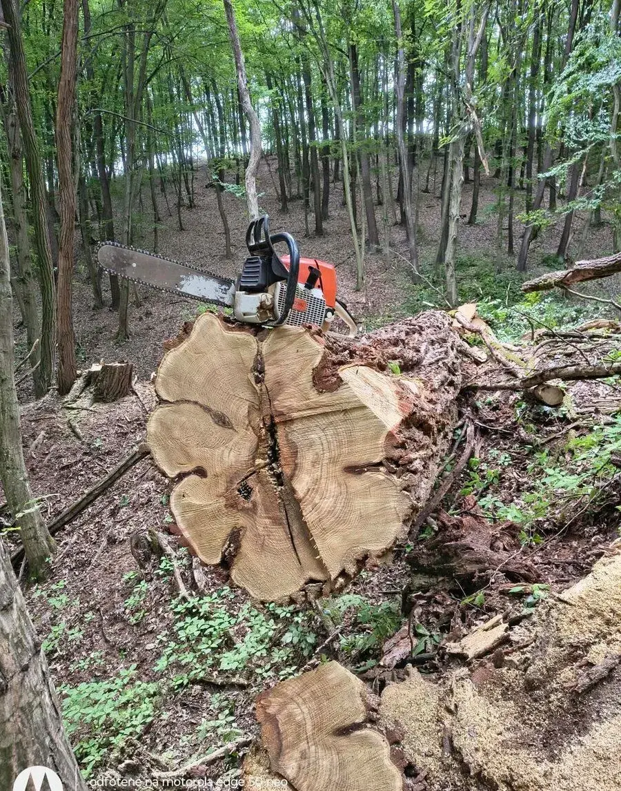 Motorová píla STIHL 440
