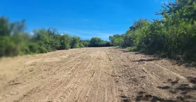 Prenájom: Veľký pozemok 2240 m2 v tichej lokalite Podhájska