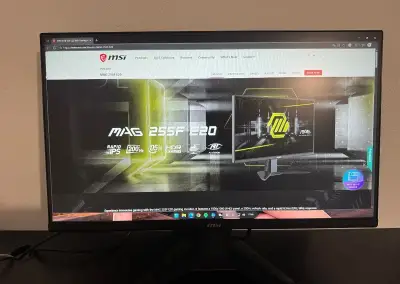 MSI MAG 255F