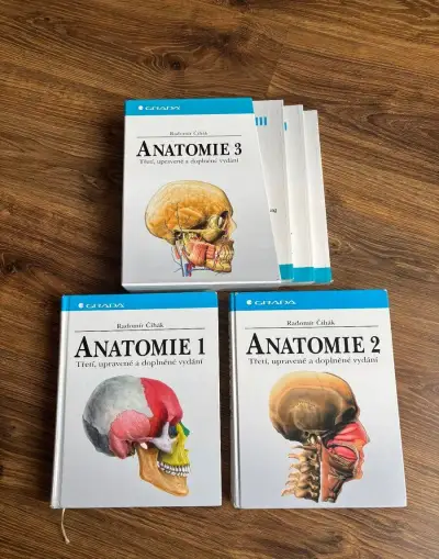 Anatomie Čihák 1,2,3