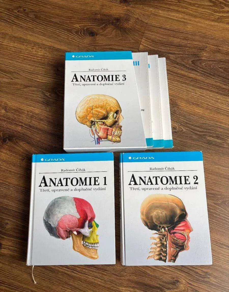Anatomie Čihák 1,2,3