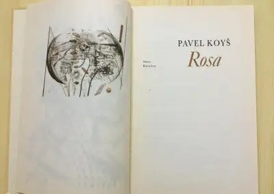 Pavel Koyš