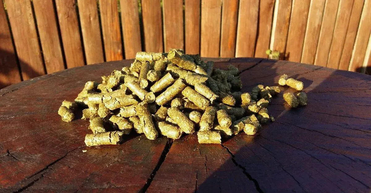 Krmivá pre kone – pelety, müsli, otruby, vylisky a ine