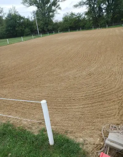 Ustajnenie