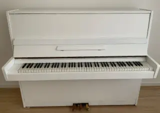 Klavír - klasický, strunový