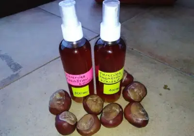 Domáce maškrty Sirup z nádchovnika,pečení čaj atď .