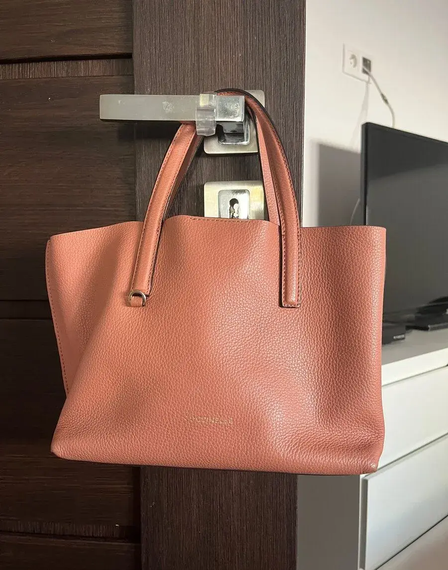 coccinelle