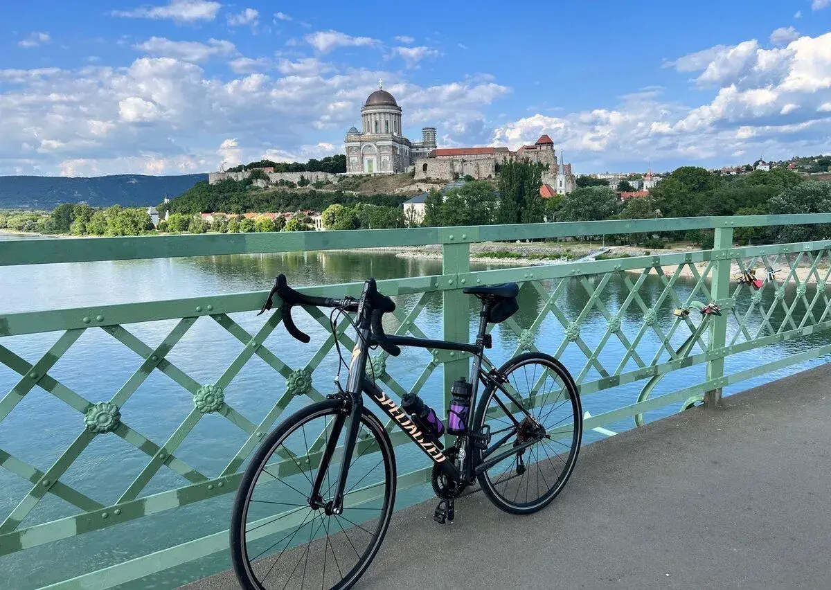 Specialized Allez Elite 2022