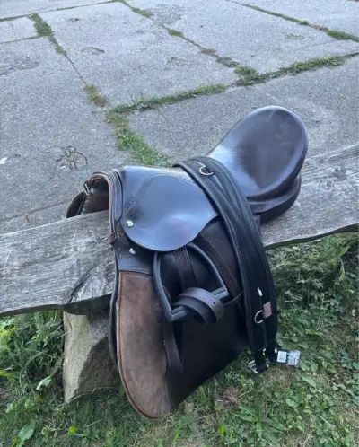 Anglické sedlo