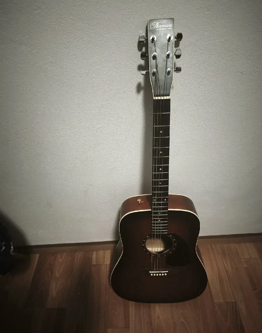 Elektroakustická gitara Norman Protege.