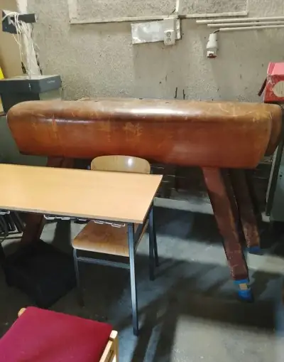 Gymnasticky kôň