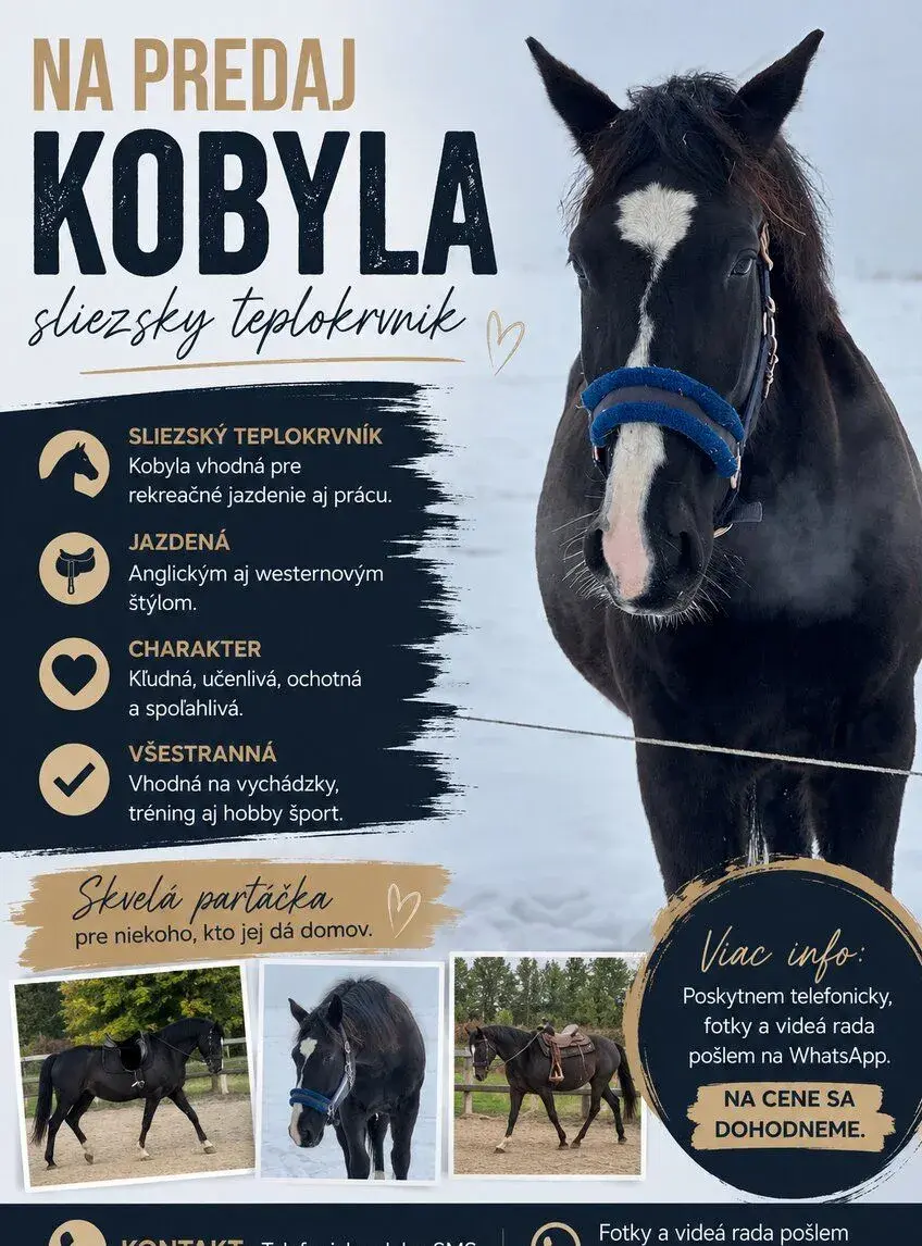 Kobylu
