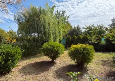 NA PREDAJ záhrada /480 m2/v mestskej časti Nová Osada, Komár