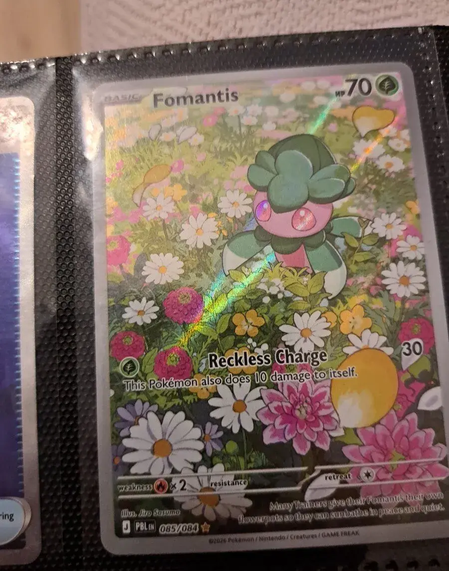 Pokémon karty