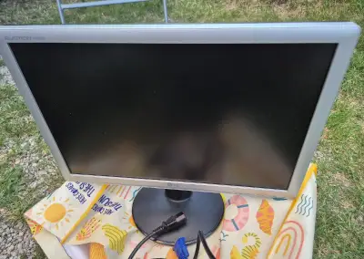 LCD monitor LG flatron wide w1934s-sn