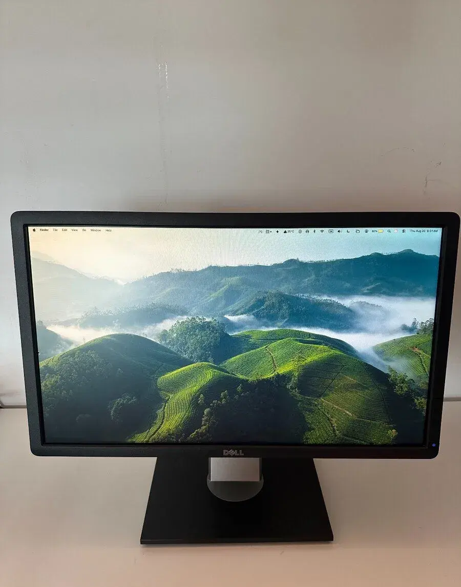 Monitor Dell P2312H