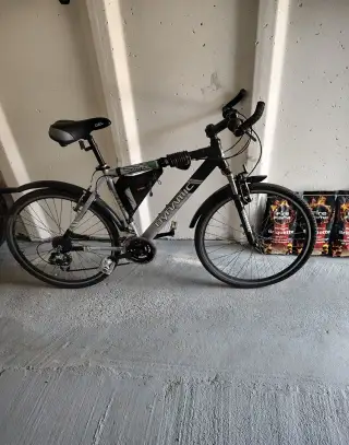 Bicykel Dynamic