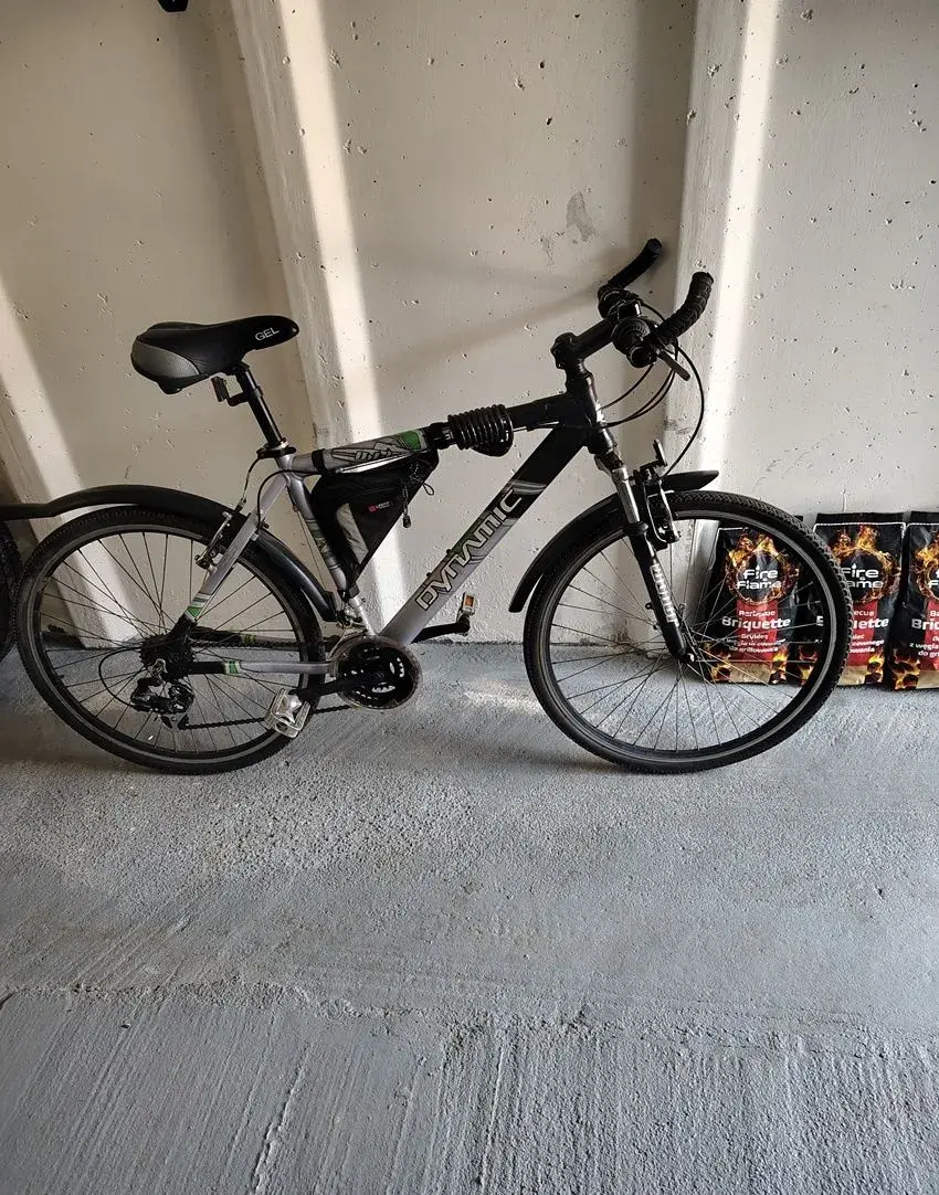Bicykel Dynamic