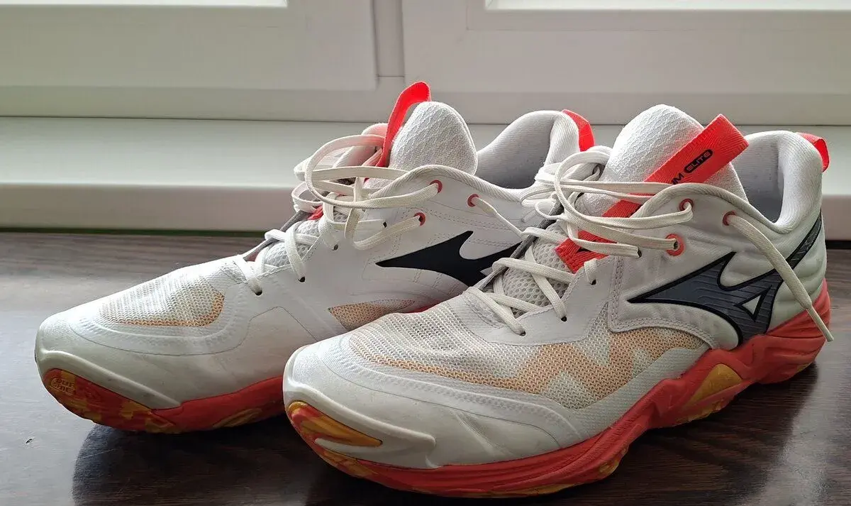 Mizuno Wave Momentum Elite