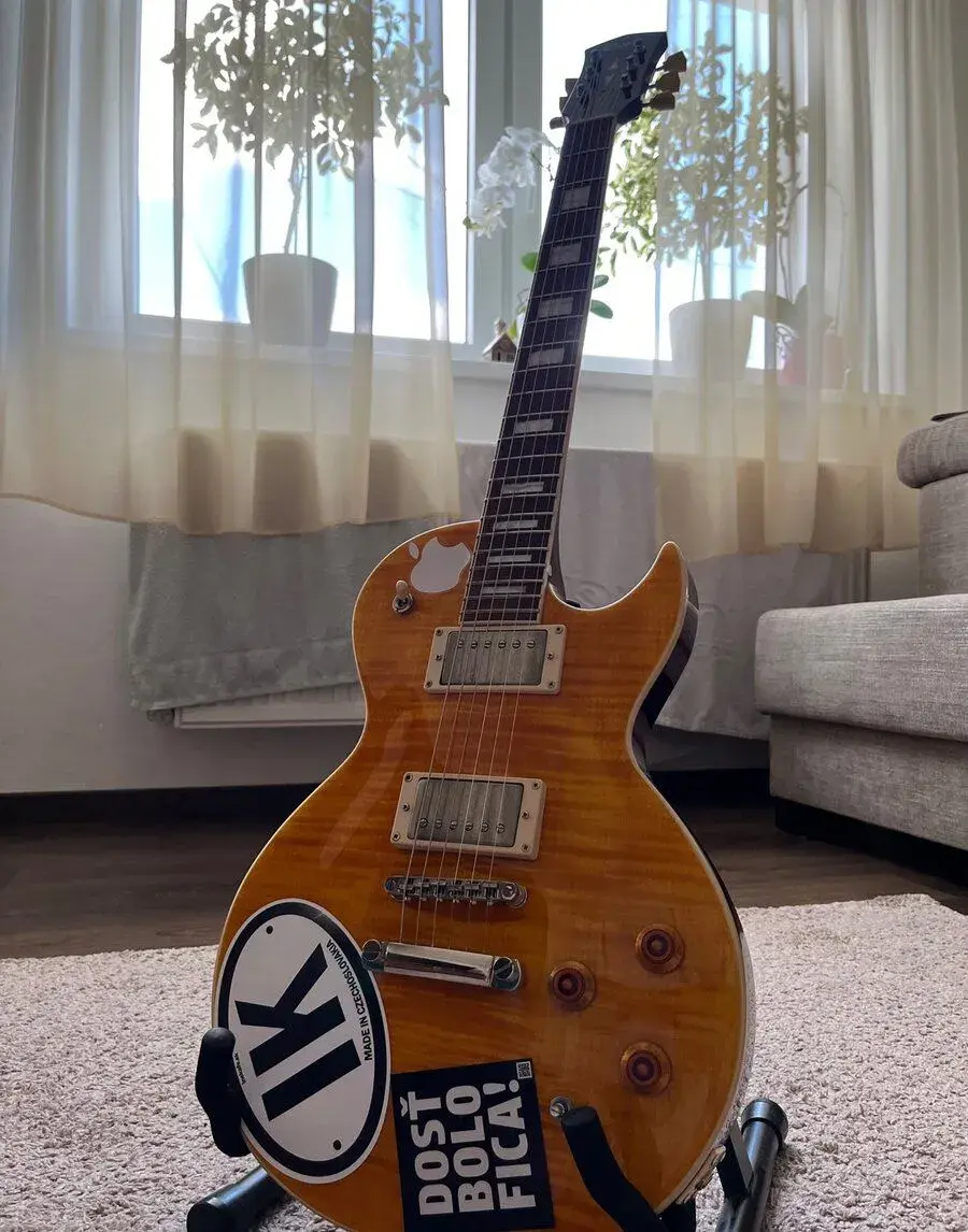 Cort cr250