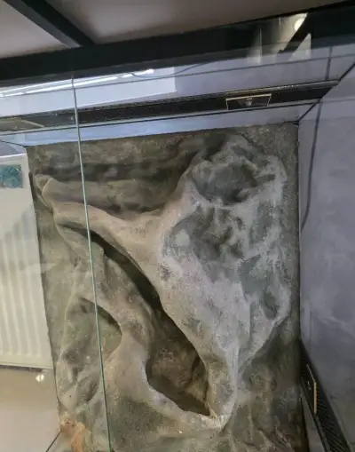 Terrarium s 3D stenou.