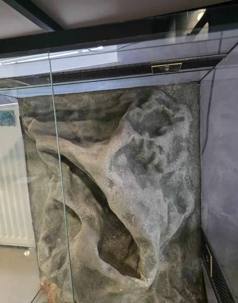Terrarium s 3D stenou.