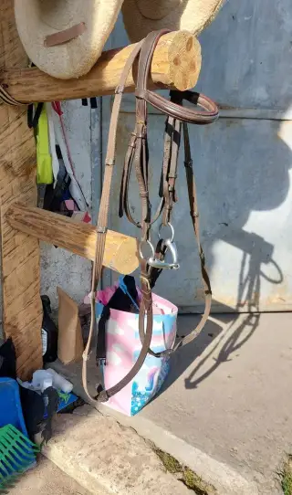 Uzda a podsedlovka pony/cob