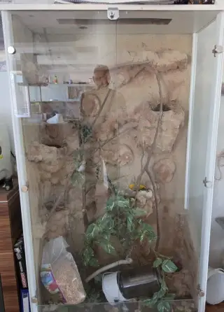 TERARIUM