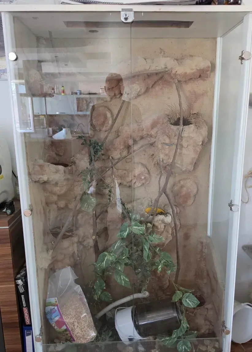 TERARIUM