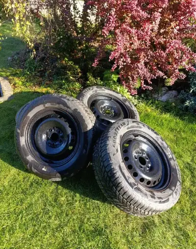Zimná sada, plechové disky, 5x114,3 215/65 R16