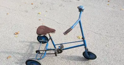 Retro Trojkolka