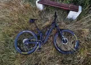 Canyon Strive CF 8 2021