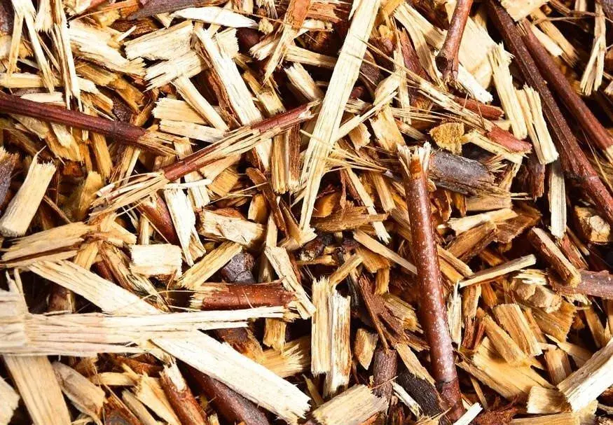 Čistenie záhrad a pozemkov – spoľahlivo a rýchlo