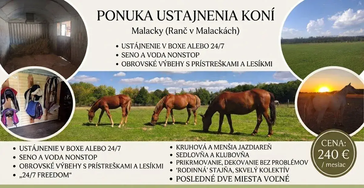 Ustajnenie