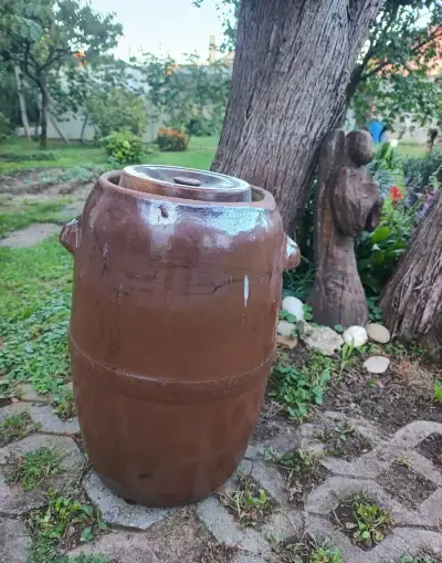 Sud na kapustu