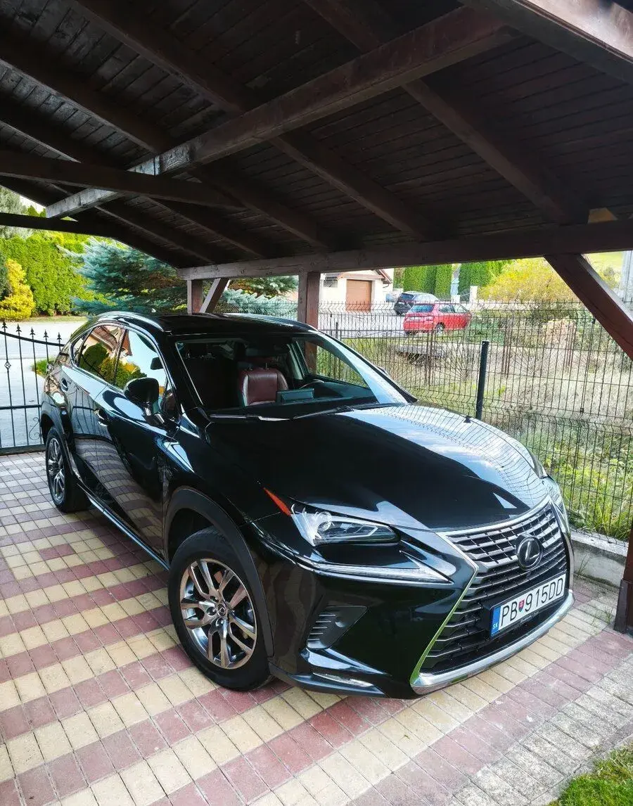 Lexus nx – 2021