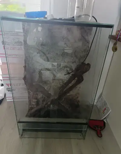 Terárium pre cheleona + vybavenie