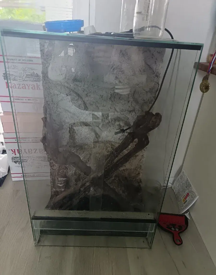 Terárium pre cheleona + vybavenie