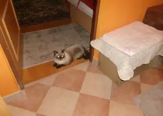 Trávniky