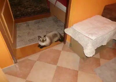 Trávniky