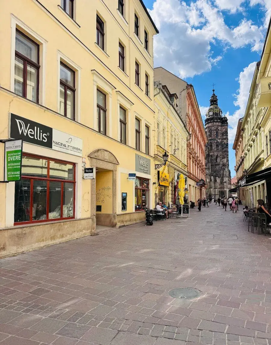 PREDAJ obchodný priestor KE Mlynská ulica